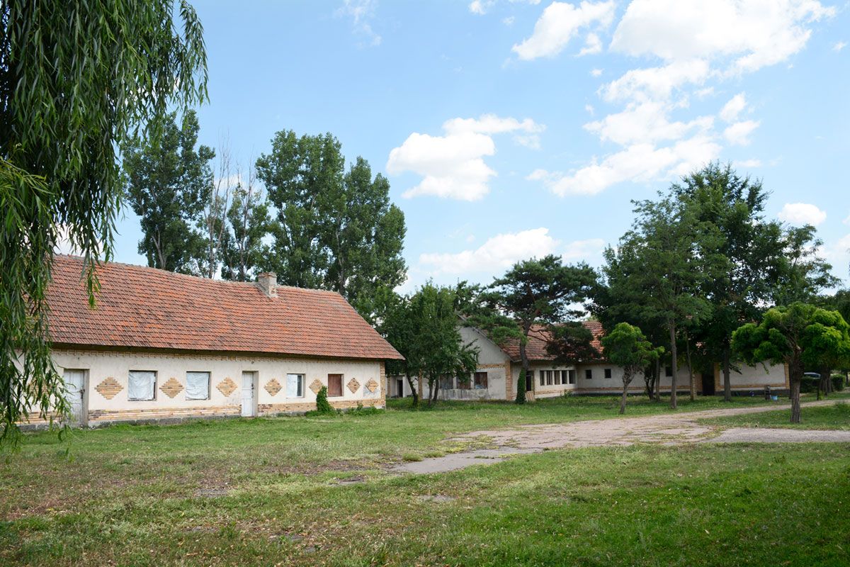 Farm